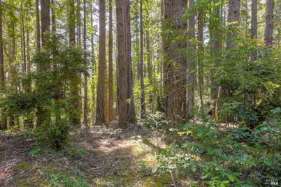 335 Deerfield, The Sea Ranch, CA 95497 - Photo 2