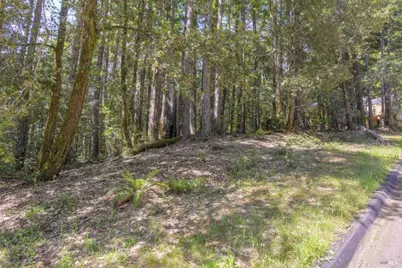 335 Deerfield, The Sea Ranch, CA 95497 - Photo 10