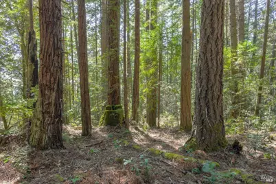 335 Deerfield, The Sea Ranch, CA 95497 - Photo 4