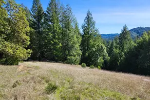 1075 Dutyville Rd, Garberville, CA 95542 - Photo 24