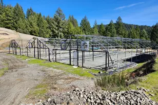 1075 Dutyville Rd, Garberville, CA 95542 - Photo 6