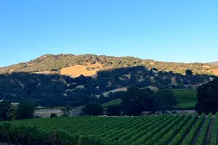 4060 Monticello Rd, Napa, CA 94558 - Photo 36