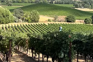 4060 Monticello Rd, Napa, CA 94558 - Photo 18