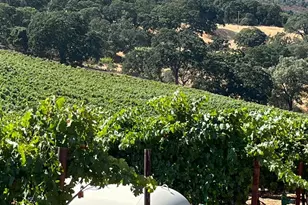 4060 Monticello Rd, Napa, CA 94558 - Photo 22