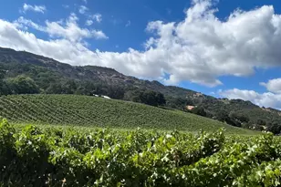 4060 Monticello Rd, Napa, CA 94558 - Photo 26