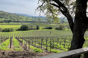 4060 Monticello Rd, Napa, CA 94558 - Photo 4