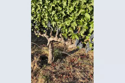 4060 Monticello Road, Napa, CA 94558 - Photo 32