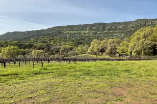 4060 Monticello Rd, Napa, CA 94558 - Photo 54