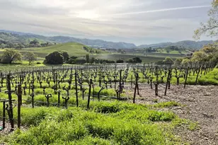 4060 Monticello Rd, Napa, CA 94558 - Photo 2