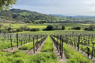 4060 Monticello Rd, Napa, CA 94558 - Photo 1