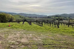 4060 Monticello Rd, Napa, CA 94558 - Photo 52