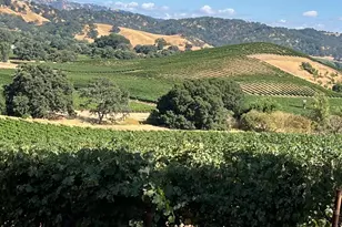 4060 Monticello Rd, Napa, CA 94558 - Photo 16