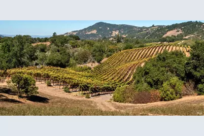 3763 Matanzas Creek Lane, Santa Rosa, CA 95404 - Photo 54