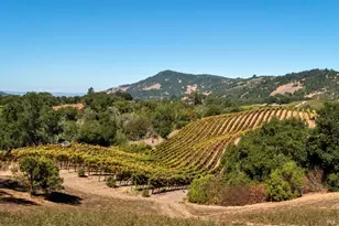 3763 Matanzas Creek Ln, Santa Rosa, CA 95404 - Photo 54