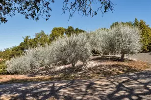 3763 Matanzas Creek Ln, Santa Rosa, CA 95404 - Photo 60