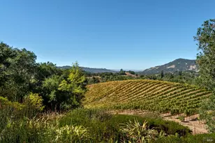 3763 Matanzas Creek Ln, Santa Rosa, CA 95404 - Photo 46