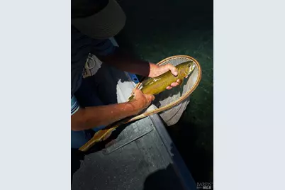 42369 Horr Road, McArthur, CA 96056 - Photo 32