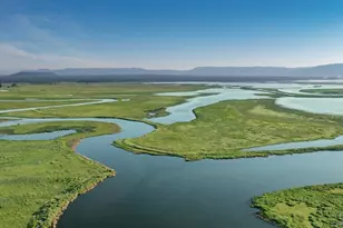 42369 Horr Rd, McArthur, CA 96056 - Photo 8