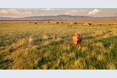 42369 Horr Road, McArthur, CA 96056 - Photo 4