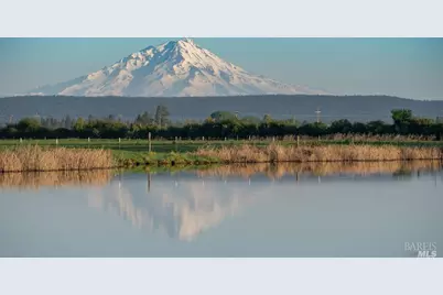 42369 Horr Road, McArthur, CA 96056 - Photo 1