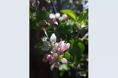 [Address not provided], Rohnert Park, CA 94928 - Photo 32