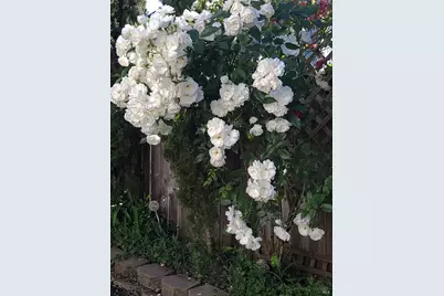 [Address not provided], Rohnert Park, CA 94928 - Photo 36