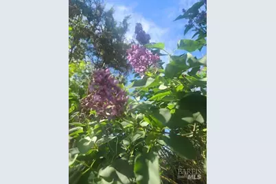 [Address not provided], Rohnert Park, CA 94928 - Photo 38