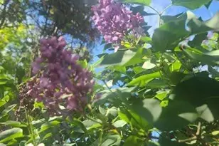 [Address not provided], Rohnert Park, CA 94928 - Photo 38