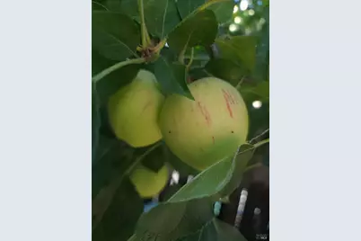 [Address not provided], Rohnert Park, CA 94928 - Photo 36