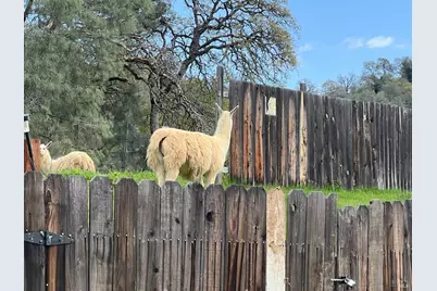 3798 Lakeview Terrace, Lucerne, CA 95458 - Photo 10