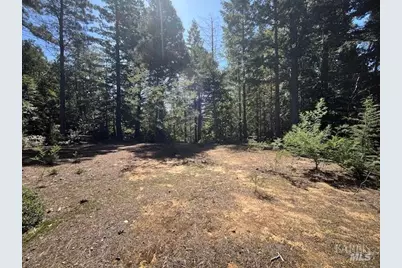 46109 Fish Rock Road, Gualala, CA 95445 - Photo 4