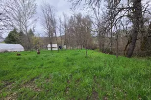 25428 Mendocino Pass Rd, Covelo, CA 95428 - Photo 4