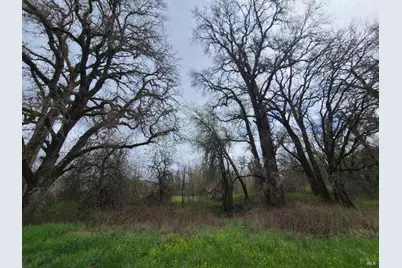 25428 Mendocino Pass Road, Covelo, CA 95428 - Photo 8