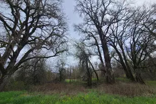 25428 Mendocino Pass Rd, Covelo, CA 95428 - Photo 8