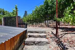 455 Glass Mountain Rd, Saint Helena, CA 94574 - Photo 10