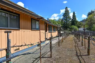 455 Glass Mountain Rd, Saint Helena, CA 94574 - Photo 22