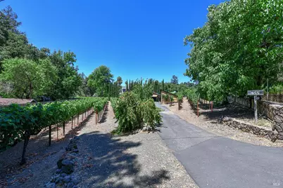 455 Glass Mountain Road, Saint Helena, CA 94574 - Photo 4