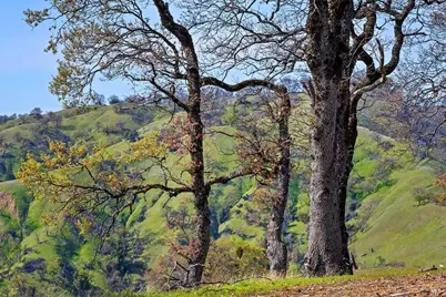 11250 Skaggs Springs Road, Healdsburg, CA 95448 - Photo 32