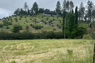 3500 Silverado Trail, Saint Helena, CA 94574 - Photo 28