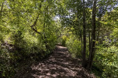 141 Granlee Road, San Rafael, CA 94903 - Photo 6