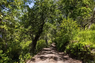 141 Granlee Road, San Rafael, CA 94903 - Photo 2