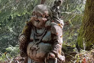 3761 E Blue Rock Rd, Garberville, CA 95542 - Photo 34