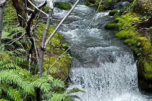 3761 E Blue Rock Rd, Garberville, CA 95542 - Photo 20