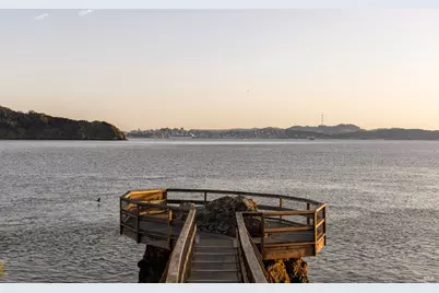 403 Paradise Drive, Tiburon, CA 94920 - Photo 54