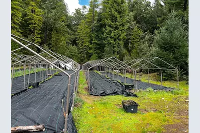 2520 French Road, Miranda, CA 95553 - Photo 16