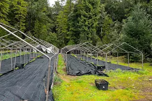 2520 French Rd, Miranda, CA 95553 - Photo 16