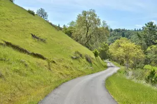 950 Canyon Rd, Geyserville, CA 95441 - Photo 4