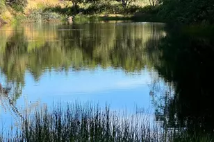 950 Canyon Rd, Geyserville, CA 95441 - Photo 18