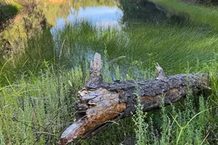 950 Canyon Rd, Geyserville, CA 95441 - Photo 16