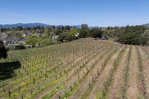 2134 Monticello Rd, Napa, CA 94558 - Photo 32